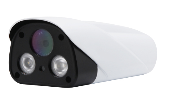 AltCam ICF24IR Уличная IP видеокамера